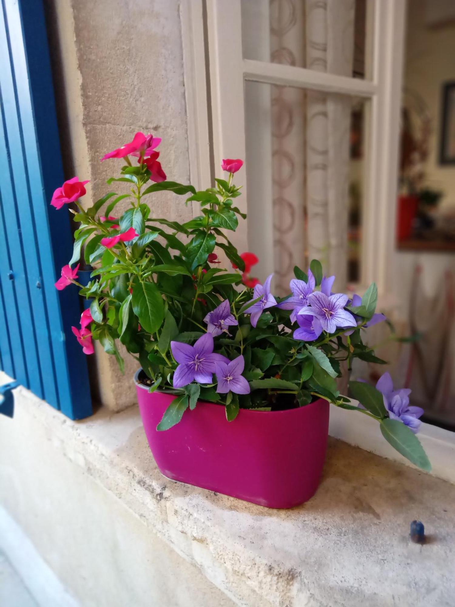 Tombe La Nefle Bed and Breakfast Avignon Exteriör bild
